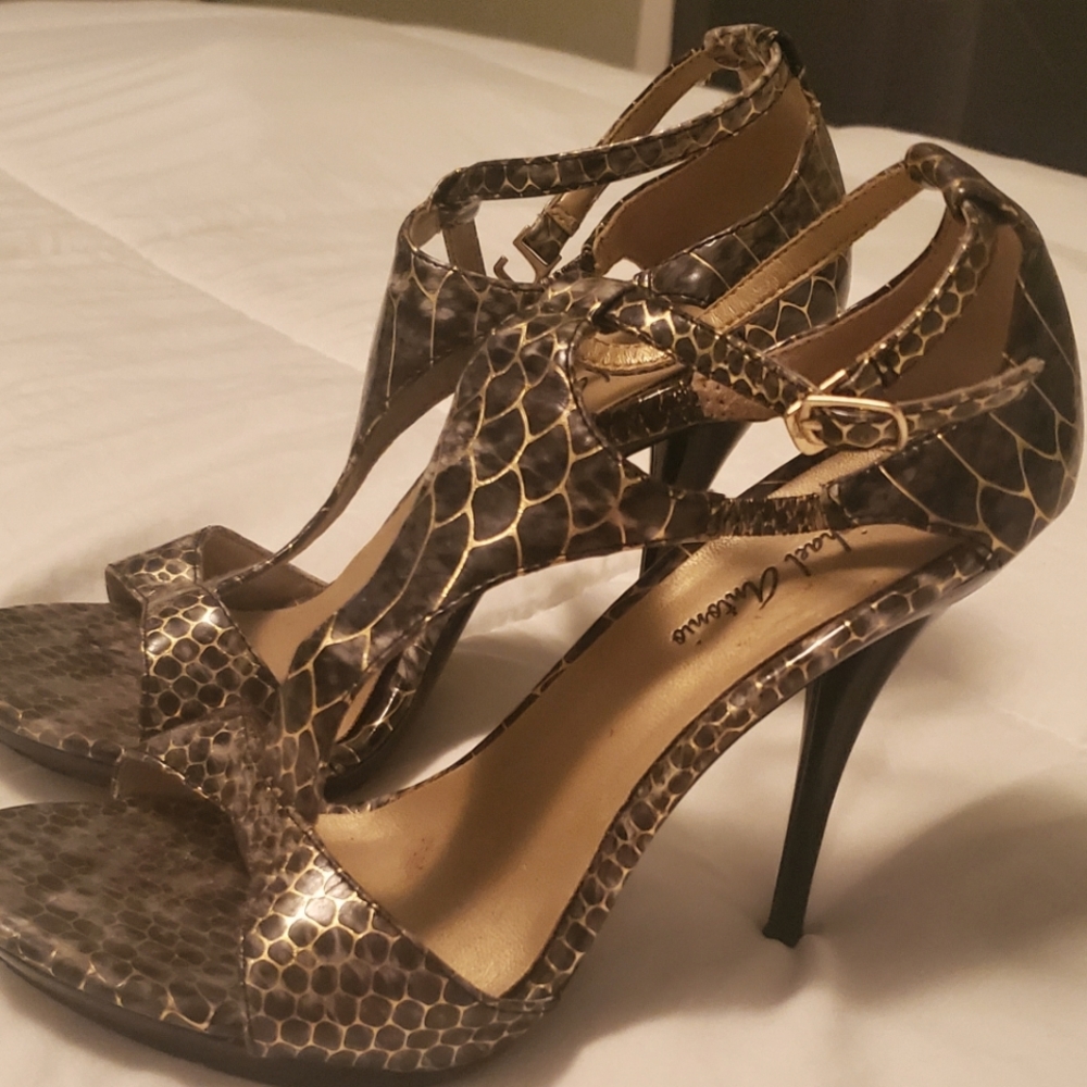 Michael Antonio Heels